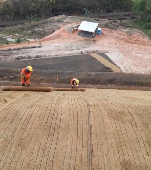 Biomanta em talude industrial