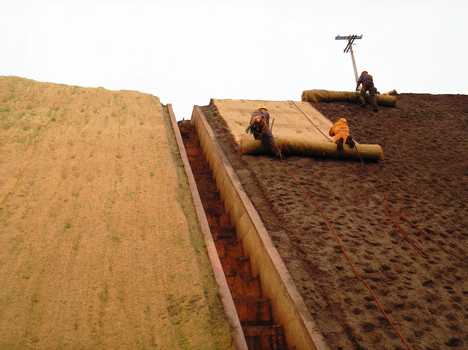 Biomanta em faixa de servidão