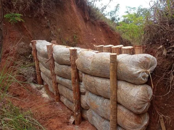 Biorretentores em obra rodoviária