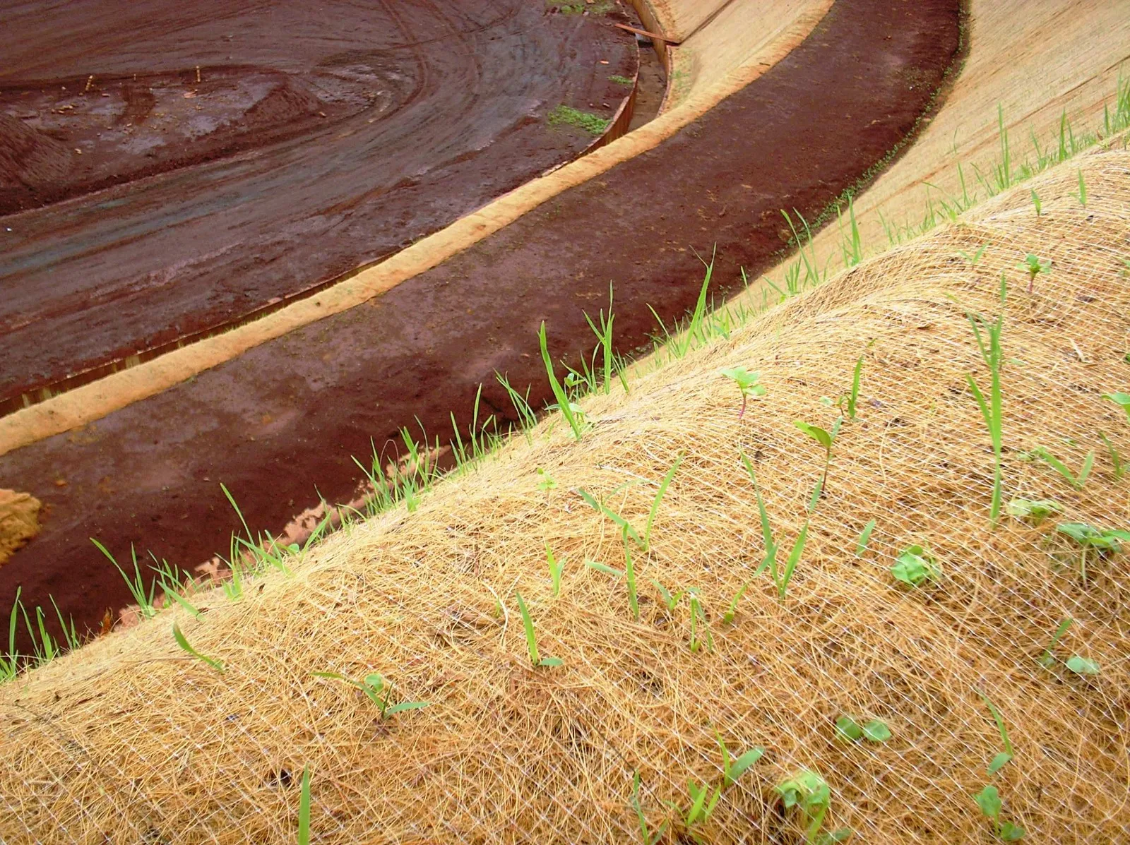 Hidrossemeadura e biomanta em campo — Terragreen