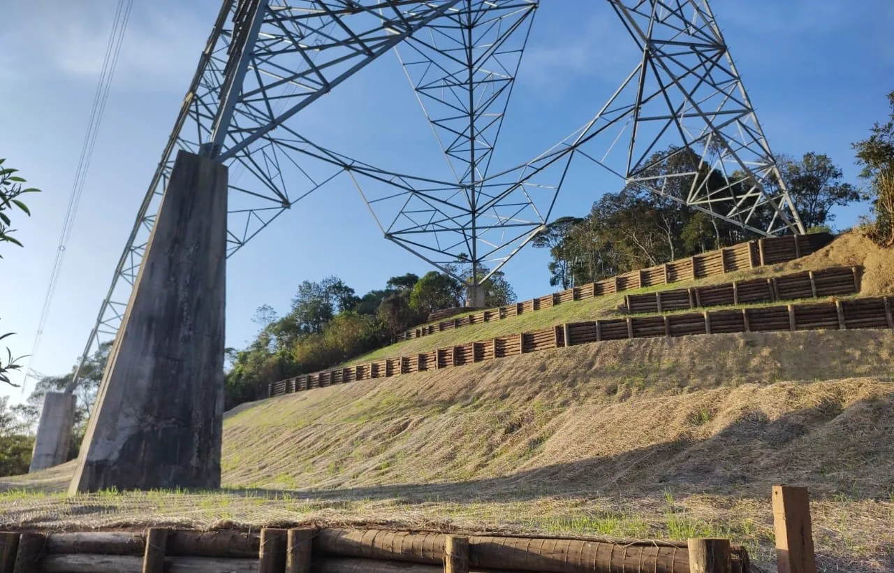 Recuperação / PRAD