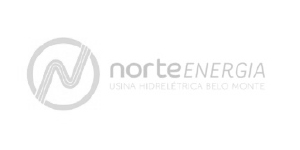 Logo Norte Energia