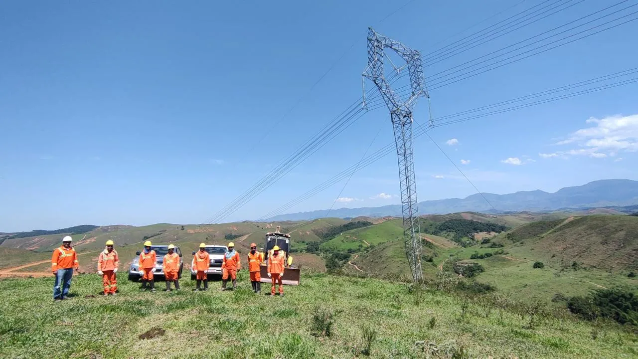 Equipe Terragreen trabalhando em projeto