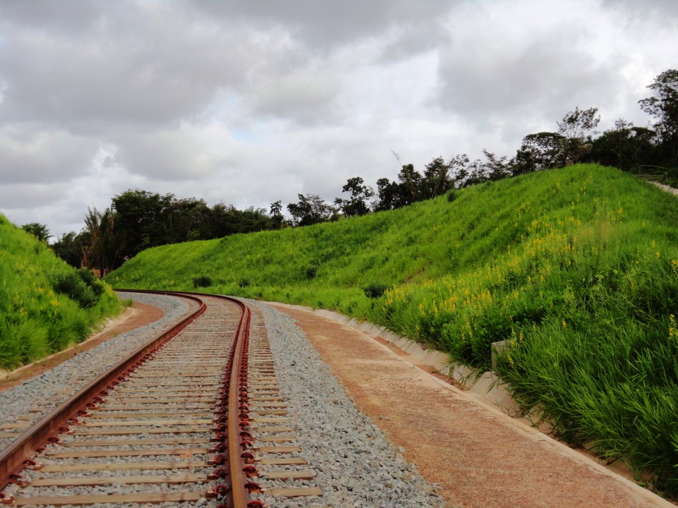 Projeto de bioengenharia — Infraestrutura