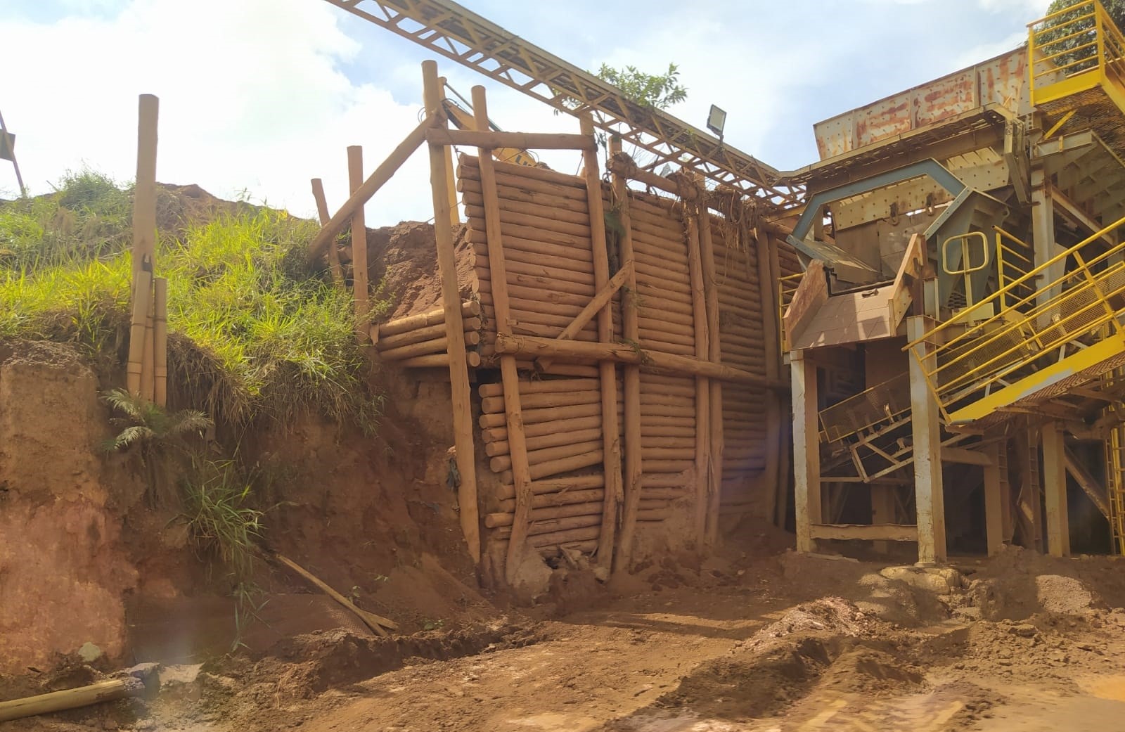 Projeto de bioengenharia — Mineração